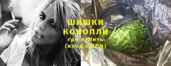 стаф Нея