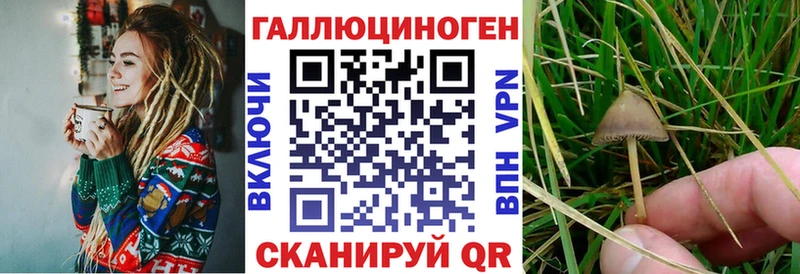 Псилоцибиновые грибы Psilocybine cubensis Остров